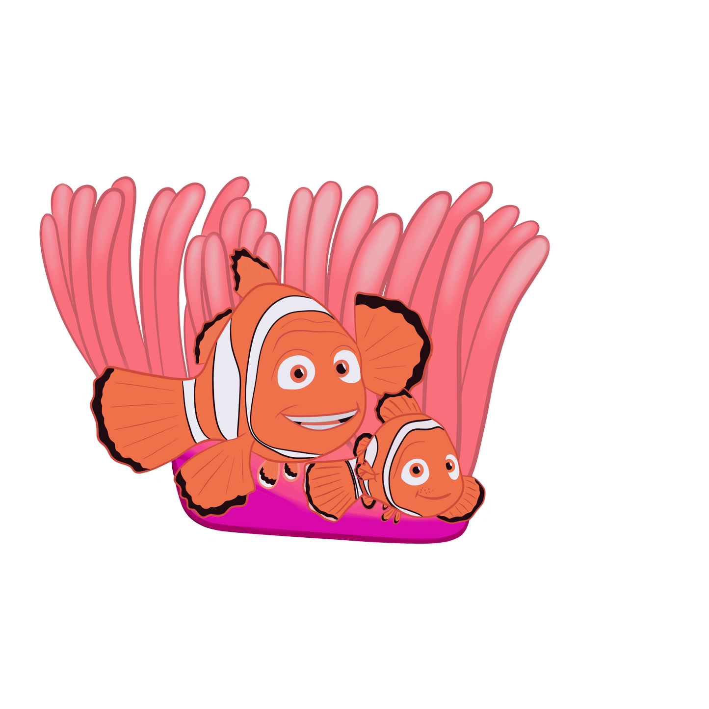 Clown Fish